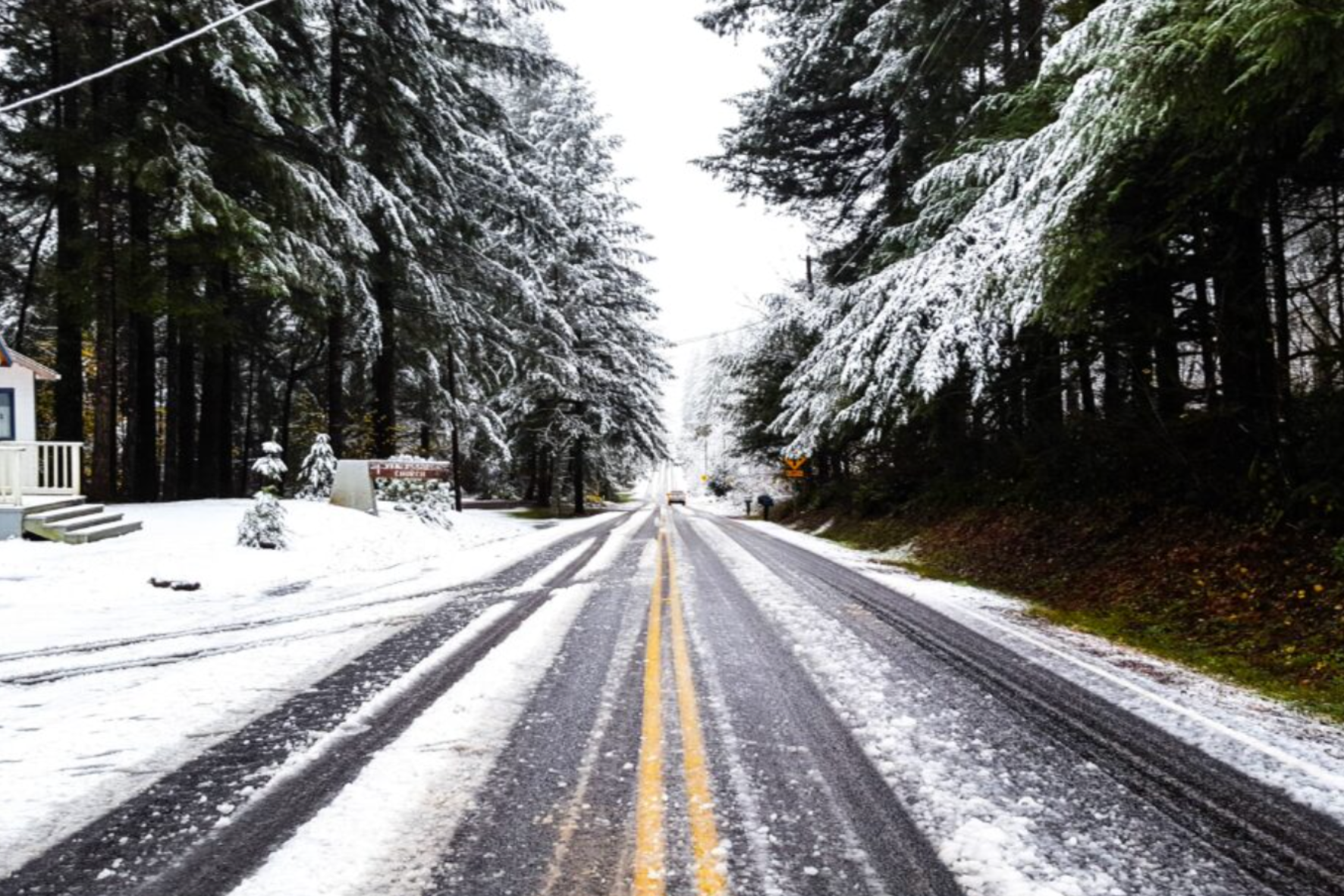 Snow-covered road flanked by trees and houses on both sides in a winter wonderland scene.